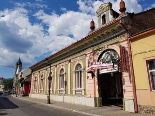 Гостевой дом Pensiunea Casa Rusu Бая-Маре-0